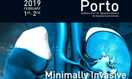 Minimally Invasive Kidney and Adrenal Surgery Course