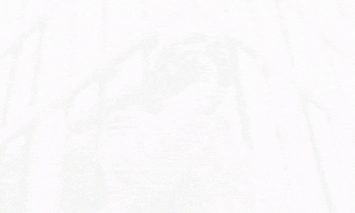 XVII Congresso da Sociedade Ibérica de Citometria