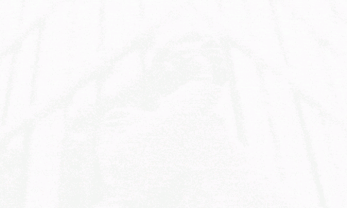 Publicações de 2020 no âmbito da Ação do COST CA16210, MINDDS