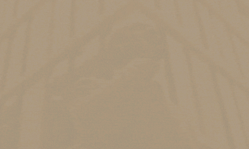 Receção aos novos Internos 2021 do CHUP