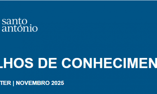 Trilhos de Conhecimento | Newsletter DEFI | novembro 2025