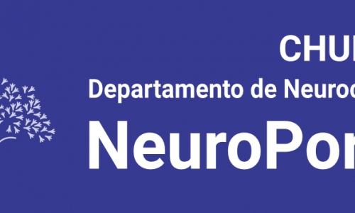 NeuroPorto. Solstício de Verão: Fronteiras Psiquiatria-Neurologia