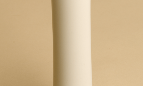 Peça em destaque: Espéculo vaginal de Fergusson